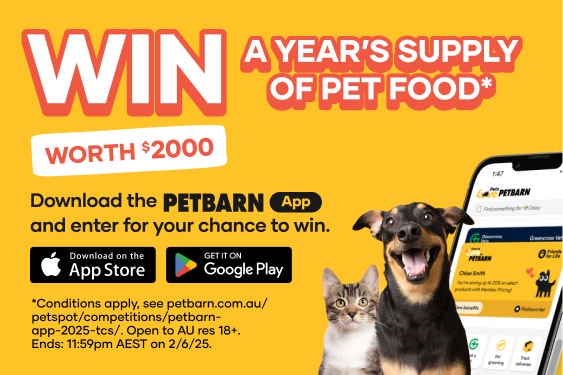 PetAI Mobile Banner