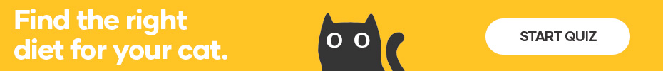 Try our Cat Food Finder tool